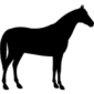 HorseICON_FINAL