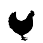 Poultry_ICON