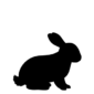 Rabbit_ICON_FINAL