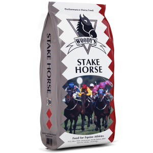 STAKE HORSE
