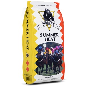 SUMMER HEAT